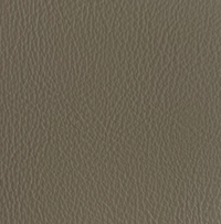 A2N0029